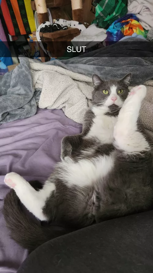 Jacket showing off the[m] goods by Apothnesko