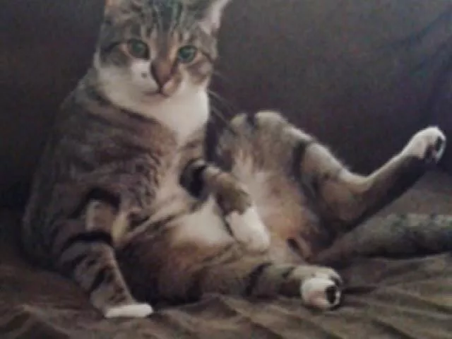 [M] Ooh la la posted by spicymeringuepie