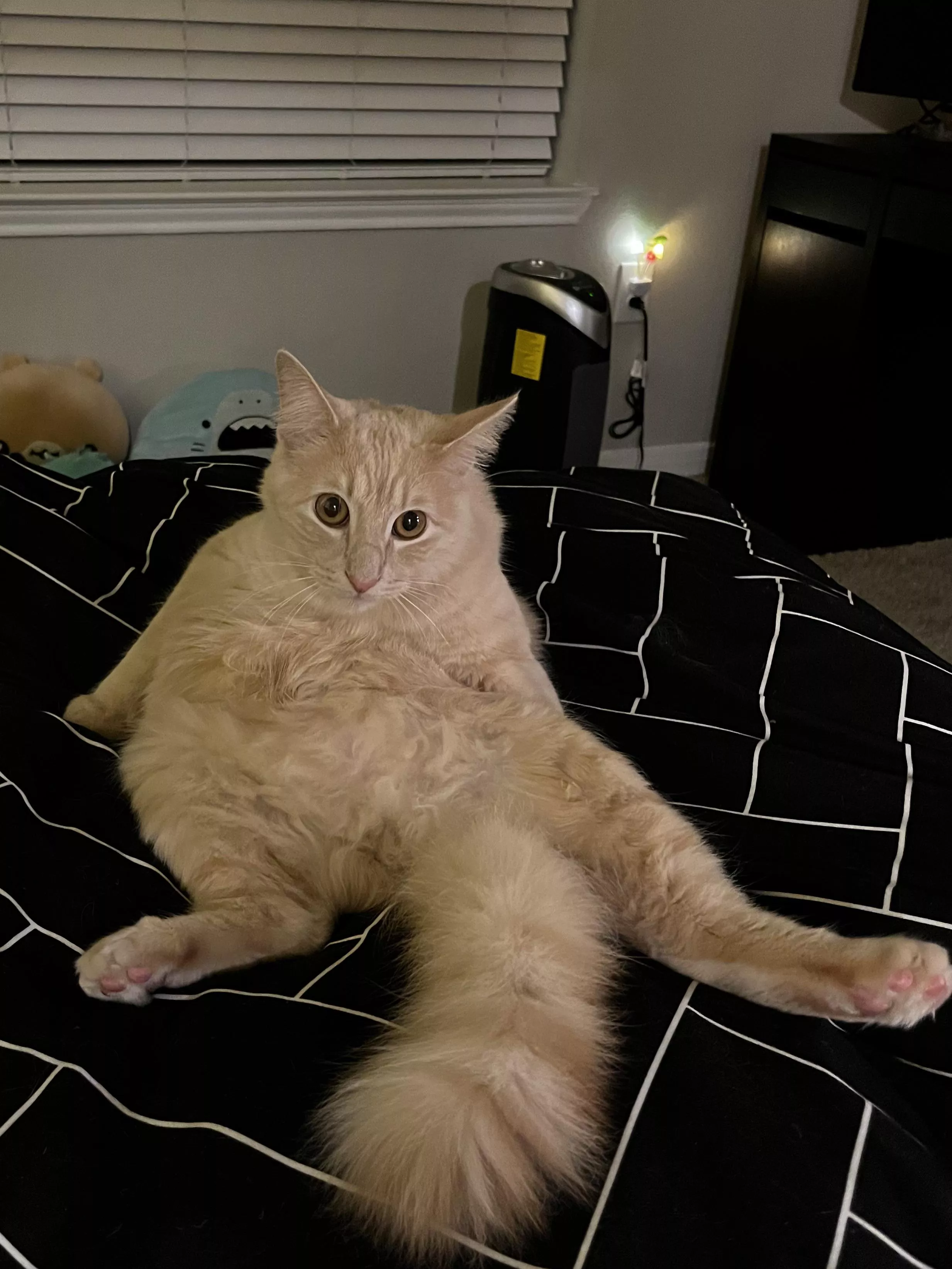 [M] proves he’s not camera shy, spread and ready posted by [deleted]