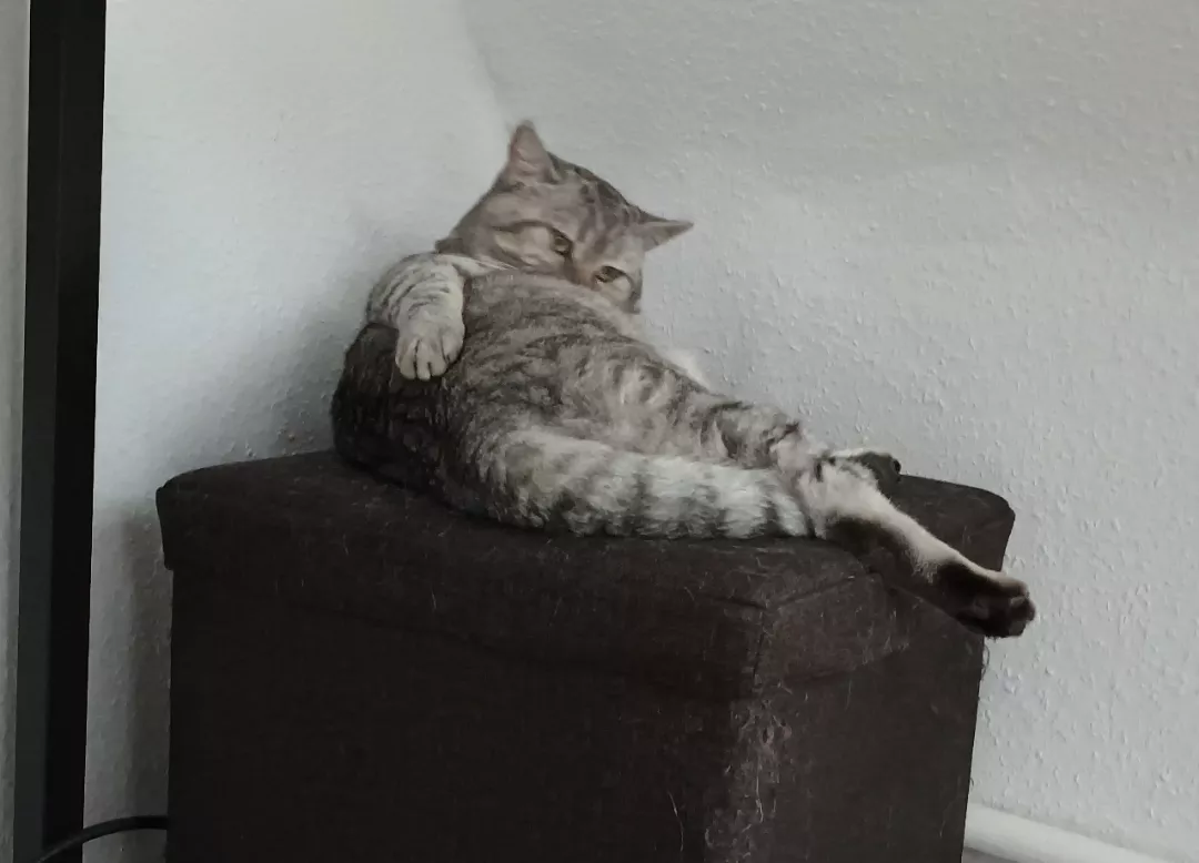 [m] Two minutes into netflix & chill and he gives you this look. What do you do? posted by Parzival_1851