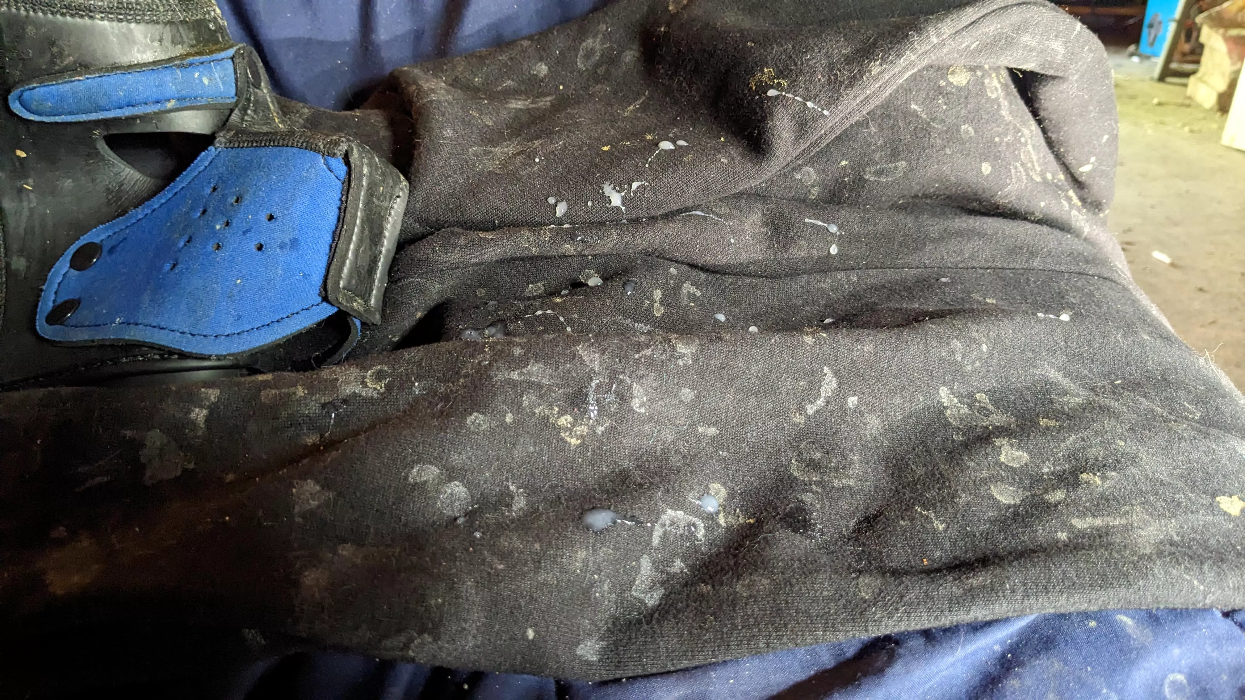 Morning mess. -delfly  posted by delfly