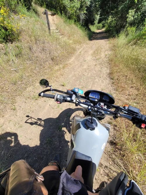 Motorcycle cock :p by Jacket_Nipple