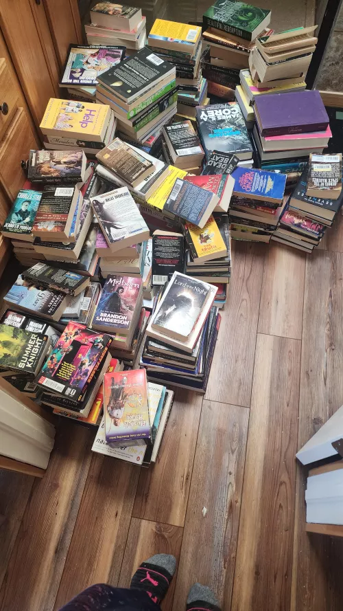 My book collection has gotten out of hand 🤣 I need some bookshelves by VisceralVixen69