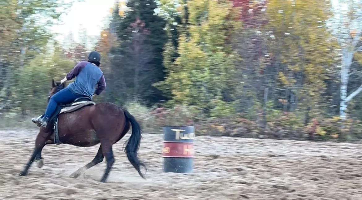 My Stable Boy posted by SpecialPrincessAsh