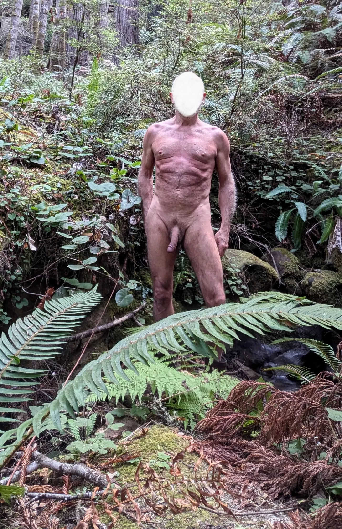 Naked in the redwood forest posted by CalBare