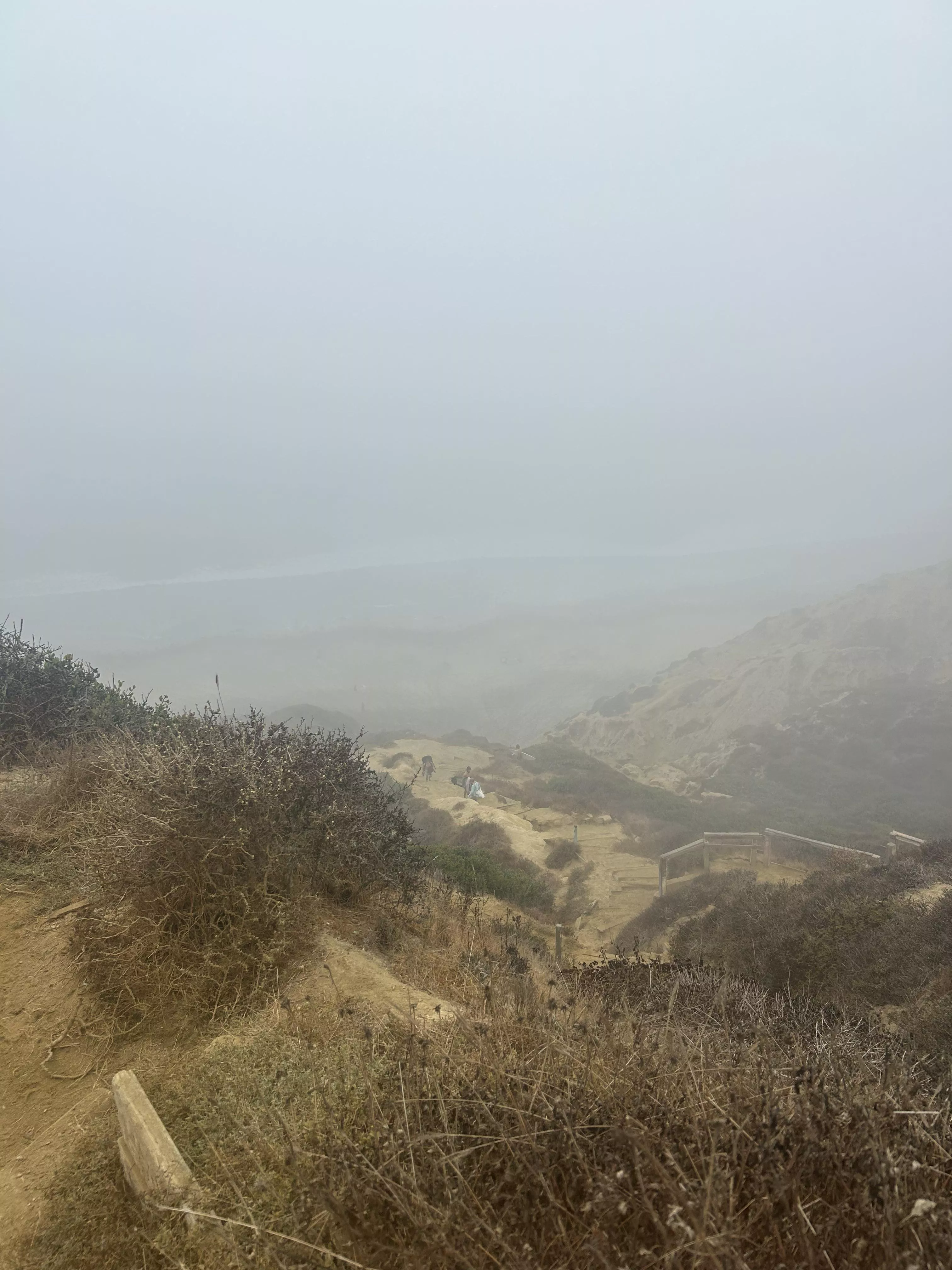 No sun today!  posted by TemperatureOk7874