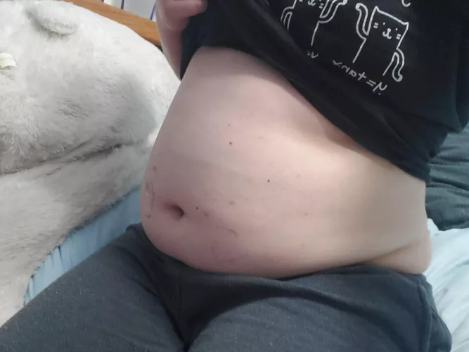 Post bedtime snack belly :3 by akitter98