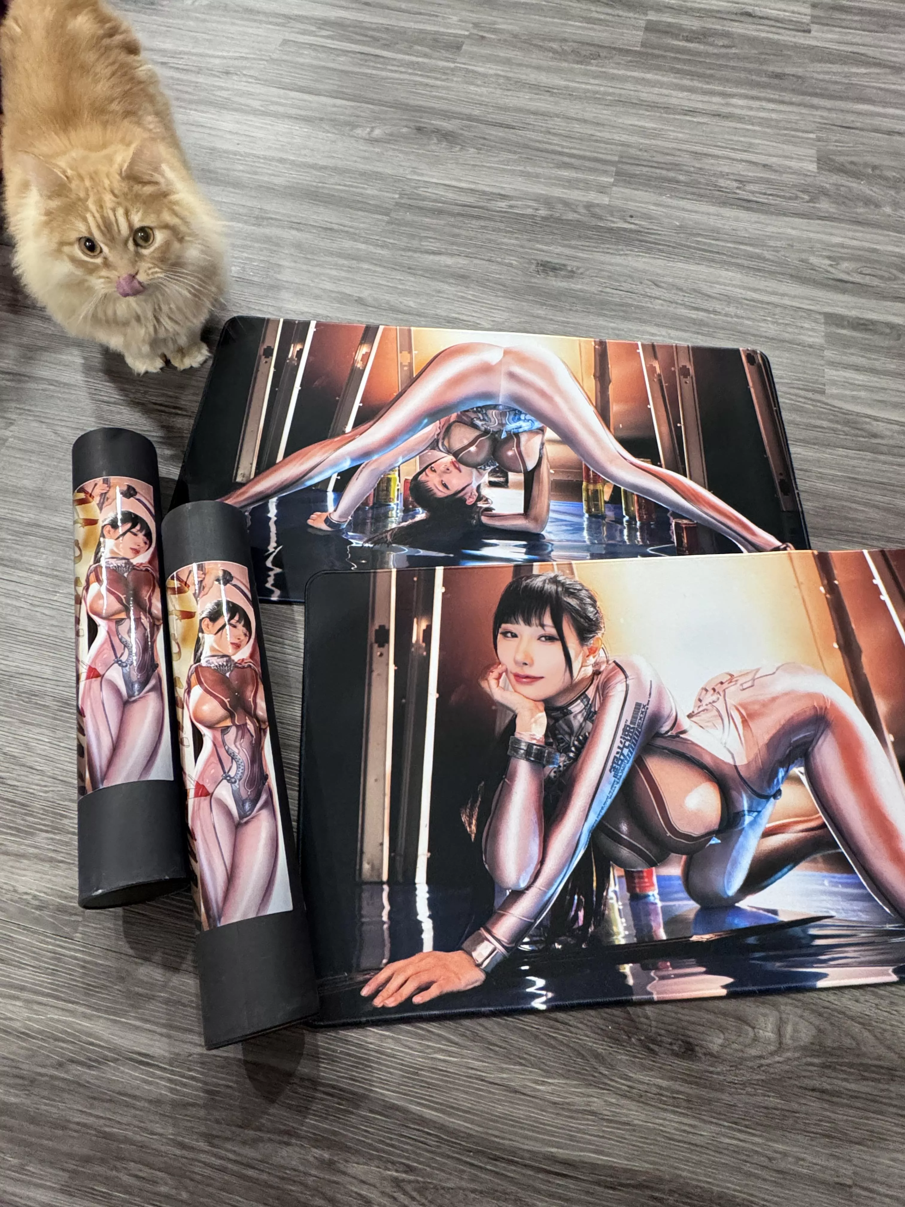Stellar Mousepad Legs or Front Boobs 【Open for 20 spots only! - LIMITED】 posted by SeValentine