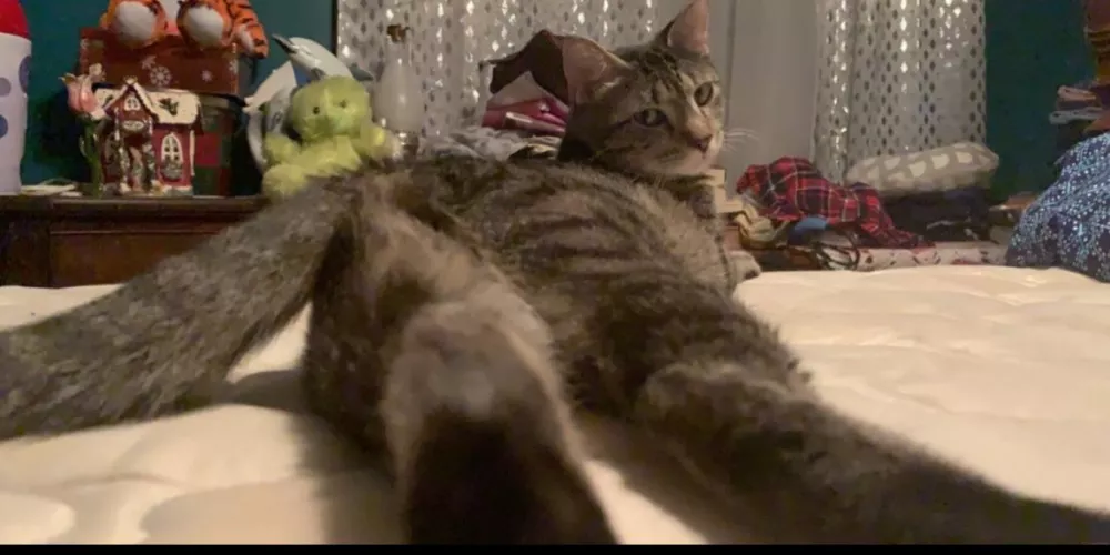 The angle [f]🤨 by AdhesivenessNo6568