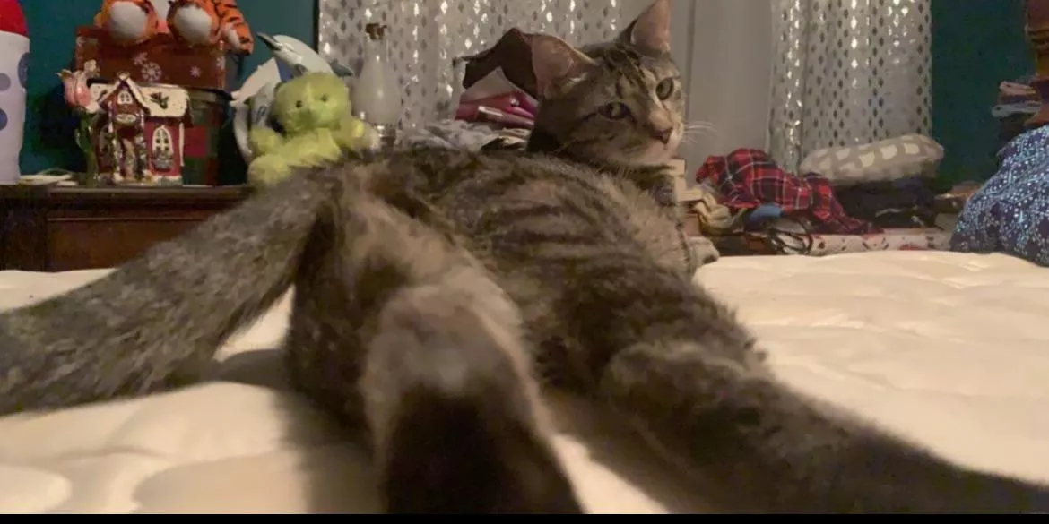 The angle [f]🤨 posted by AdhesivenessNo6568