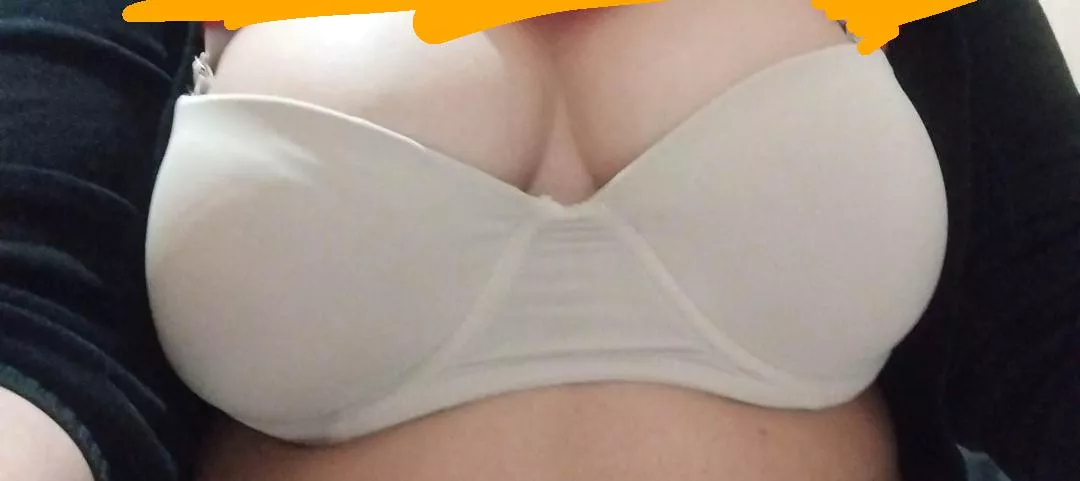 A wi(f)e left alone to wander here in C.O.D. posted by OutrageousOwl88