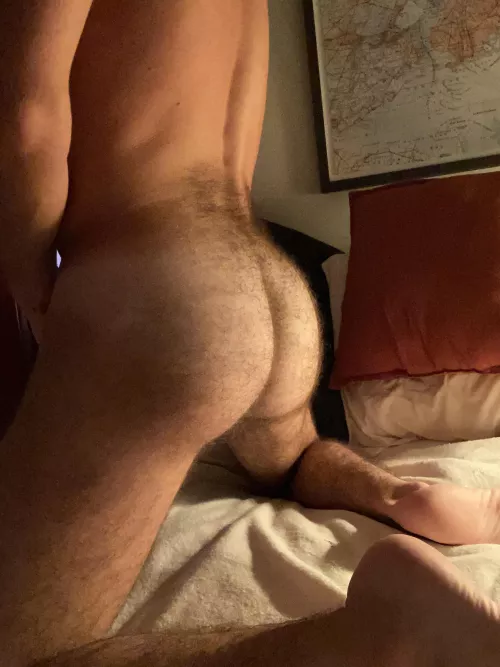 available for pounding upon request by throwaway69413