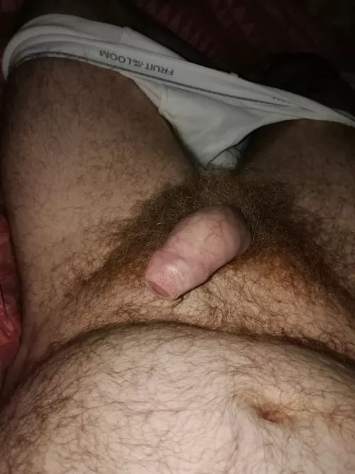 Bush and Balls Untrimmed for 6 months by TheUKHairyBear