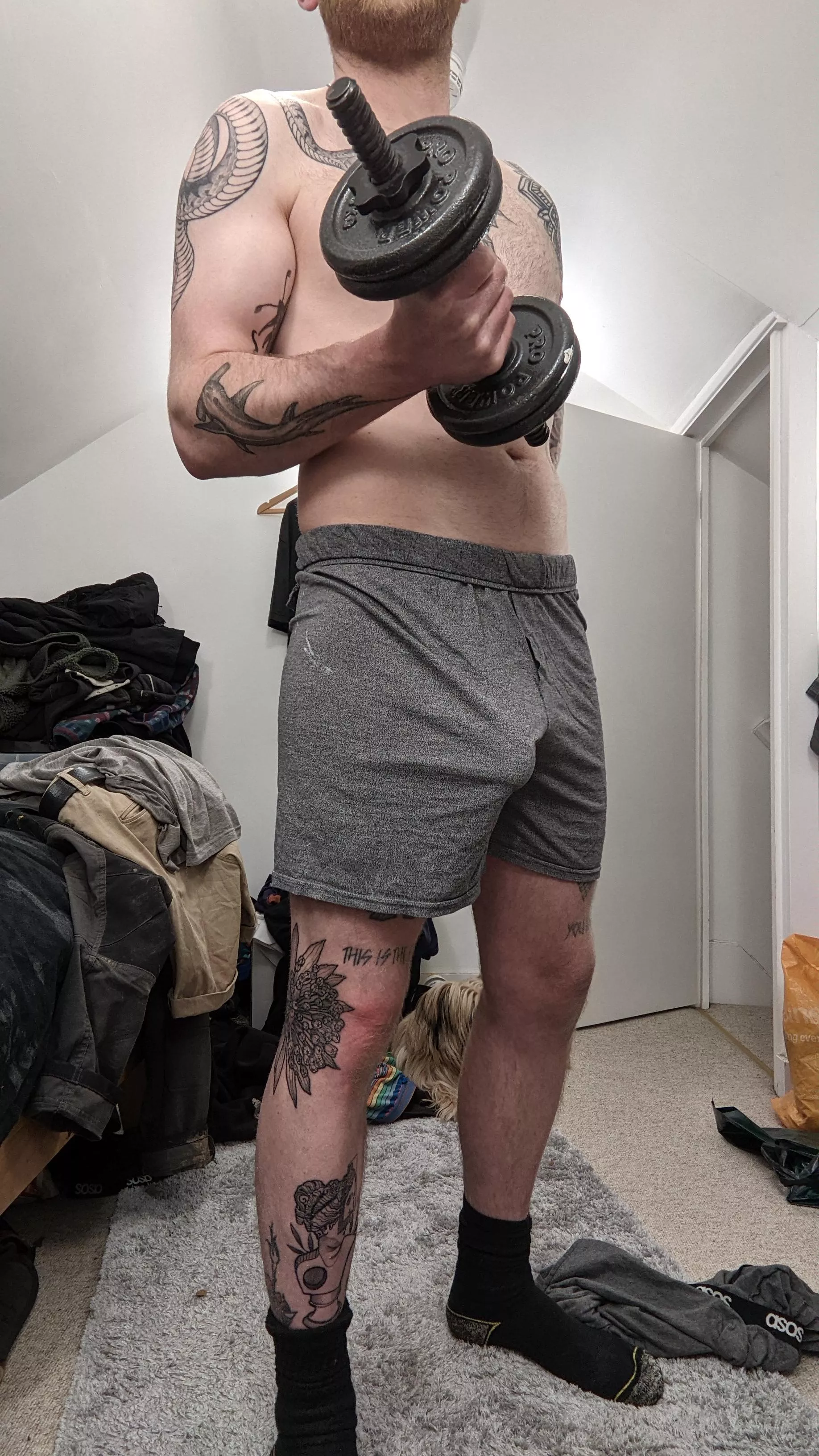 Cant decide whether to wear these shorts to the gym or not 🤔 posted by rtlost