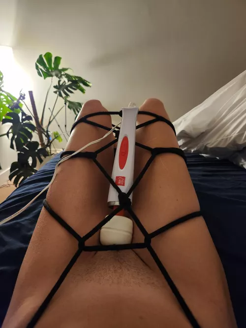 daddy tied me up and left me like this by lionstigerswings_
