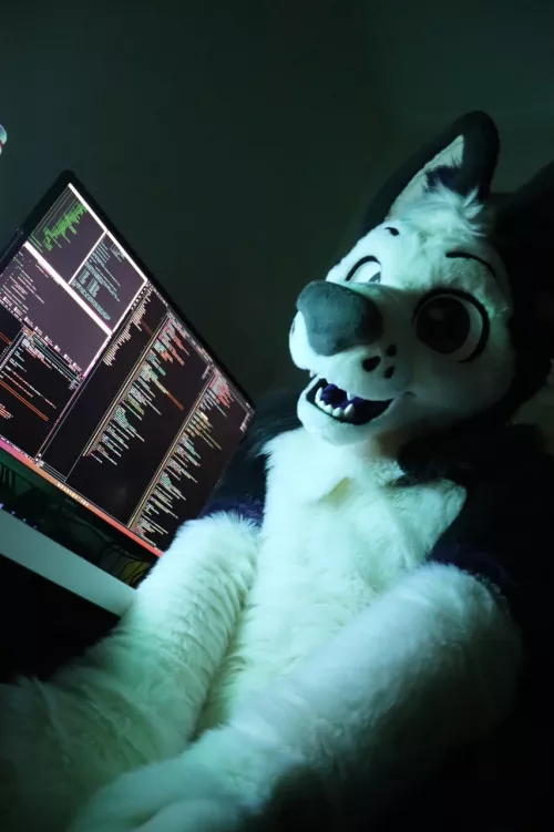 he wants to teach you how to code by fox-with-the-paws