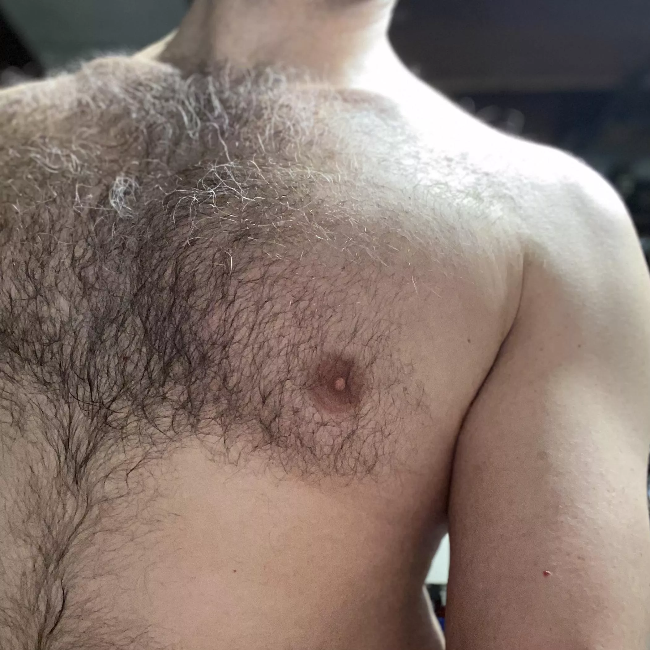 Little gray hairs everywhere 👀 posted by AbbreviationsKind806