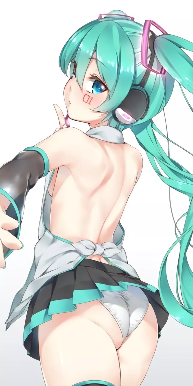 Miku lets you have a sneak peek posted by mrsaladguy