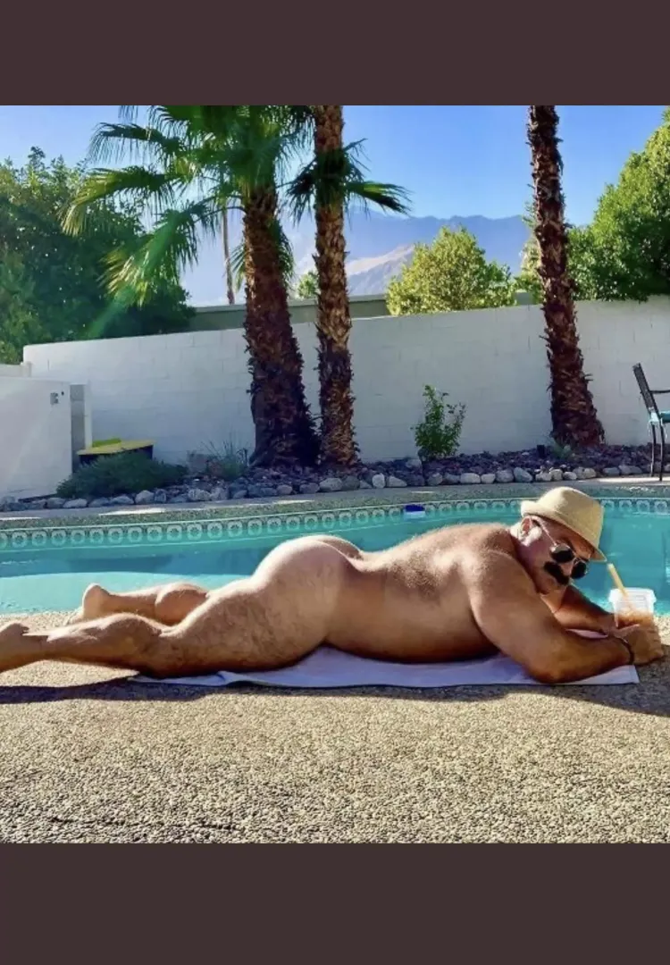 Palm Springs bear posted by asianic88