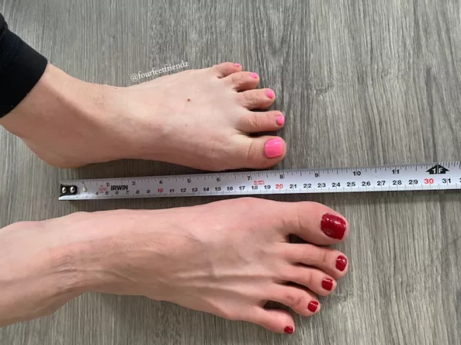 pick your size by fourfeetfriendz