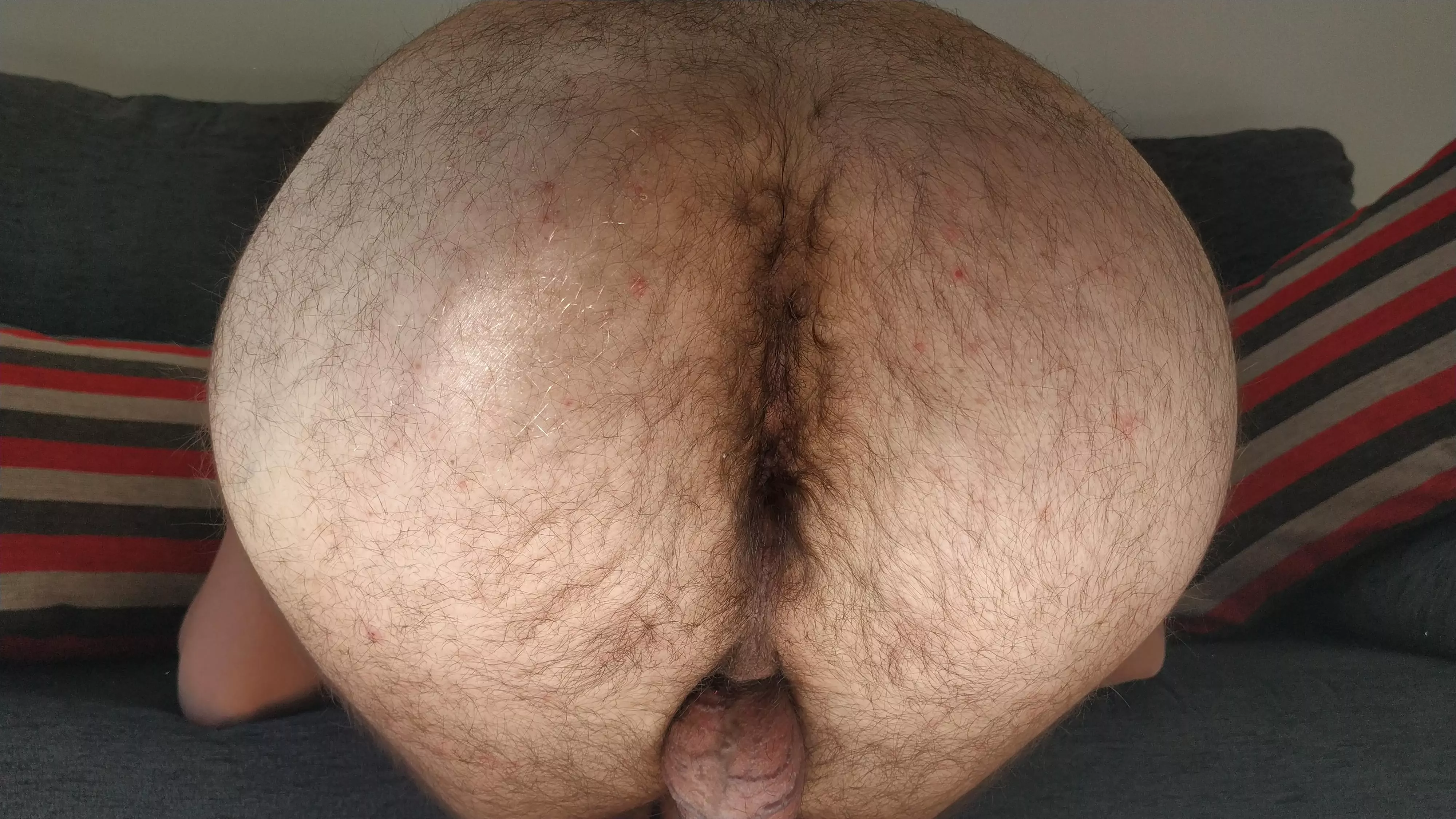 Round like a ball ⚽ posted by David_wildbro