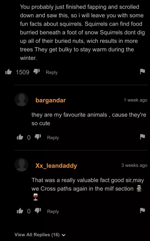 Squirrels by saltyboi94