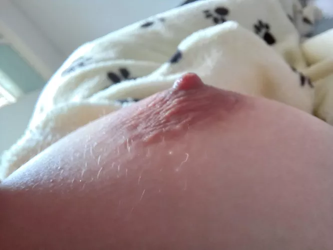 titty Tuesday is getting real up close and personal... by thatOneGothBard