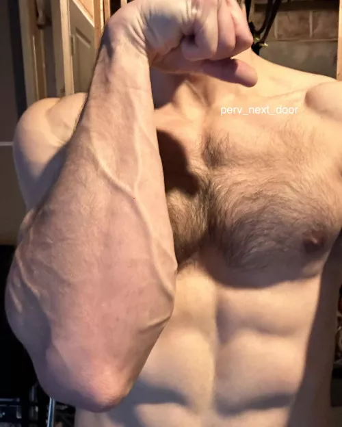 Veinz by perv_next_door