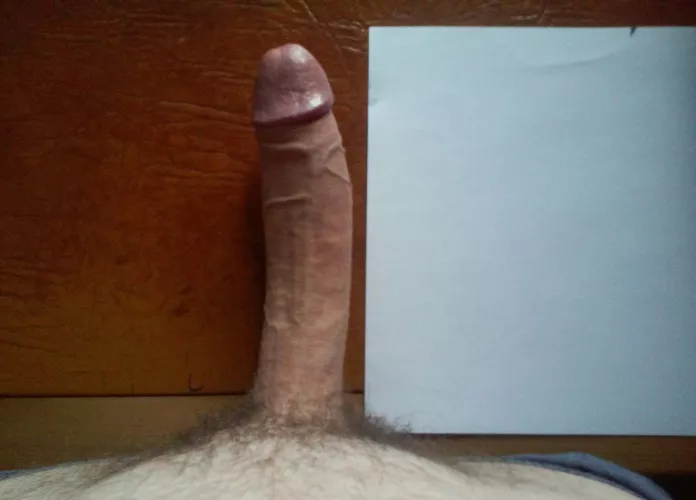 What I bring to the table, literally (also A4 comparison) by sydanderson1