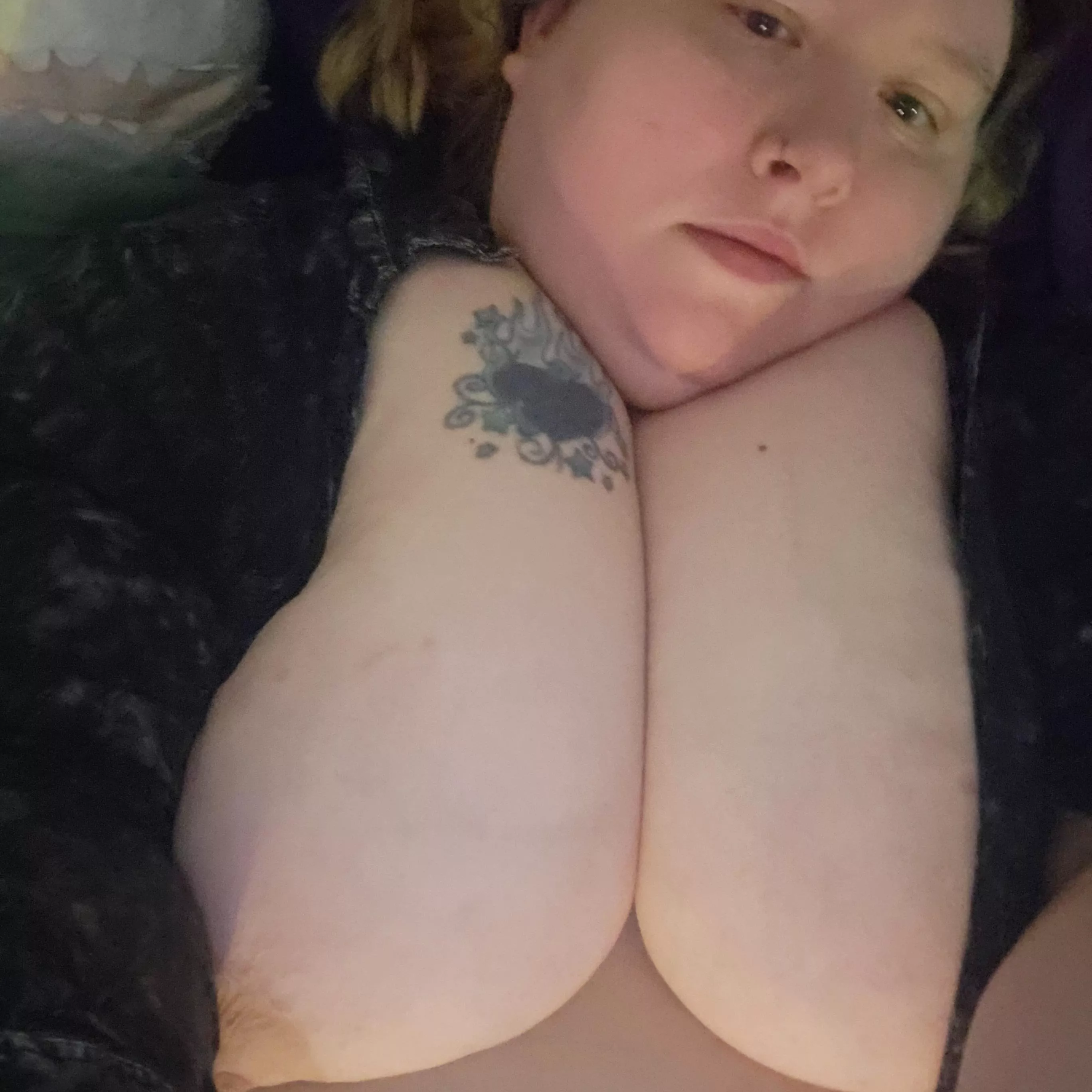 anyone wanna go for a ride? posted by distracted_elmo