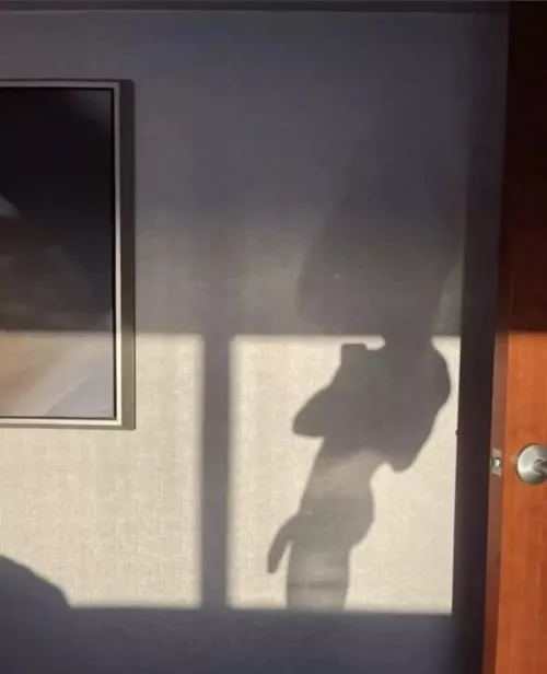 At the office but got a semi by HUNGUCTwink