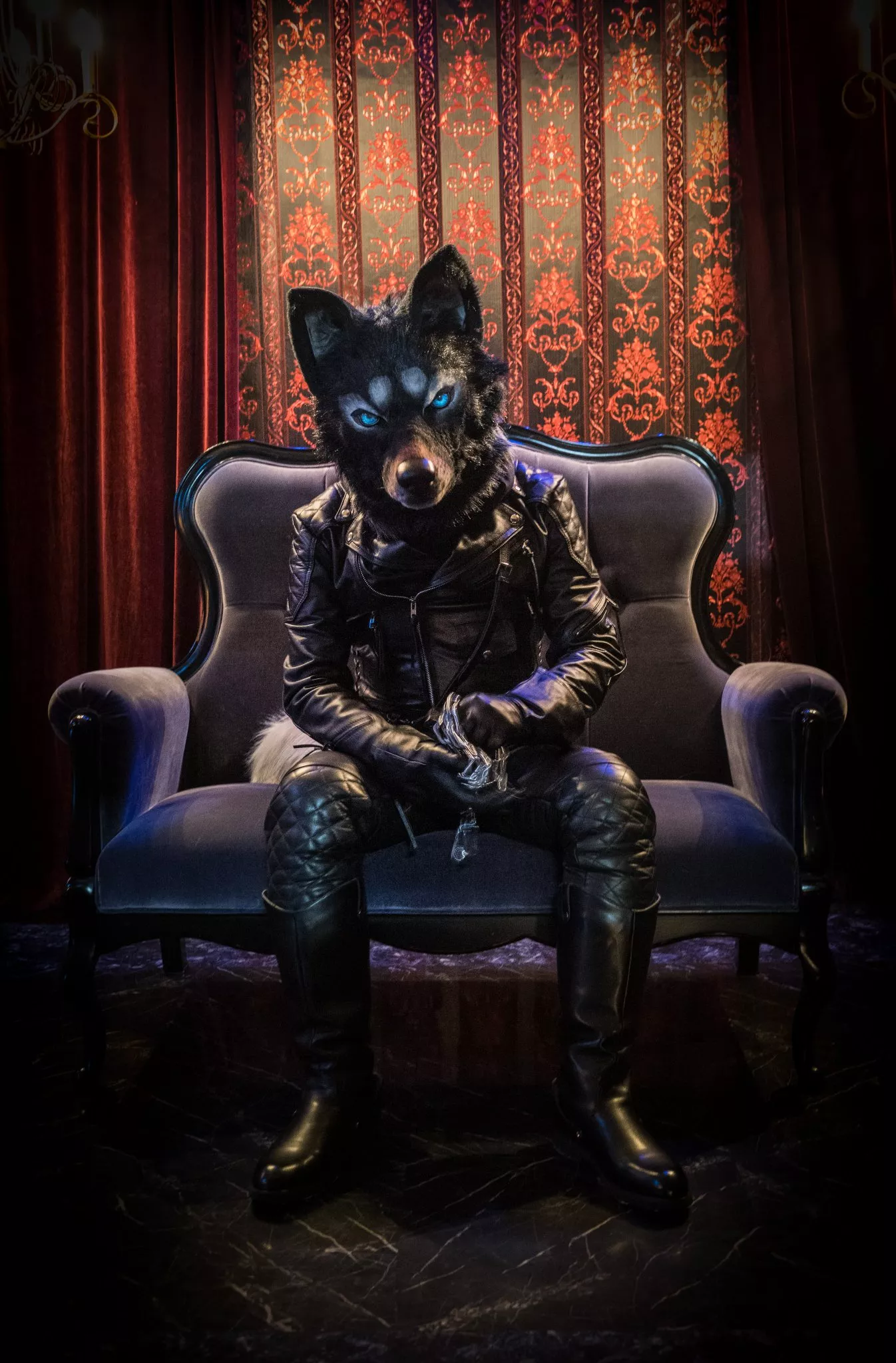 @catlion666 on Twitter (photo by @ashcan_wolf) posted by Dragoniel