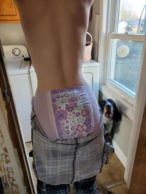 Diaper check time ⏲️ is princess dry, wet or messy? by MrdaddyPuzzle