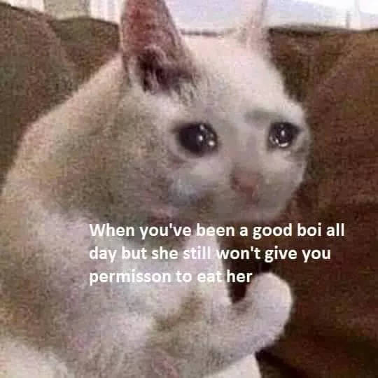 Feelsbadman 🥺 by Mysterious_Shock4372