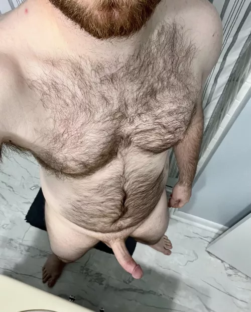 Ginger beard by Charge_14