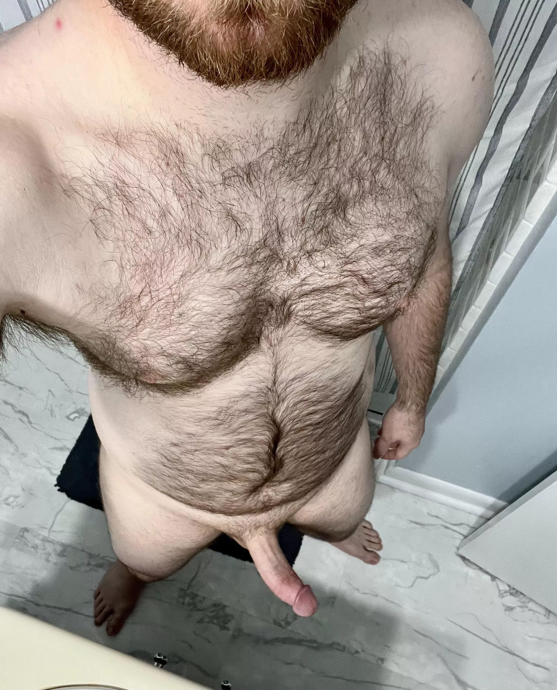 Ginger beard posted by Charge_14