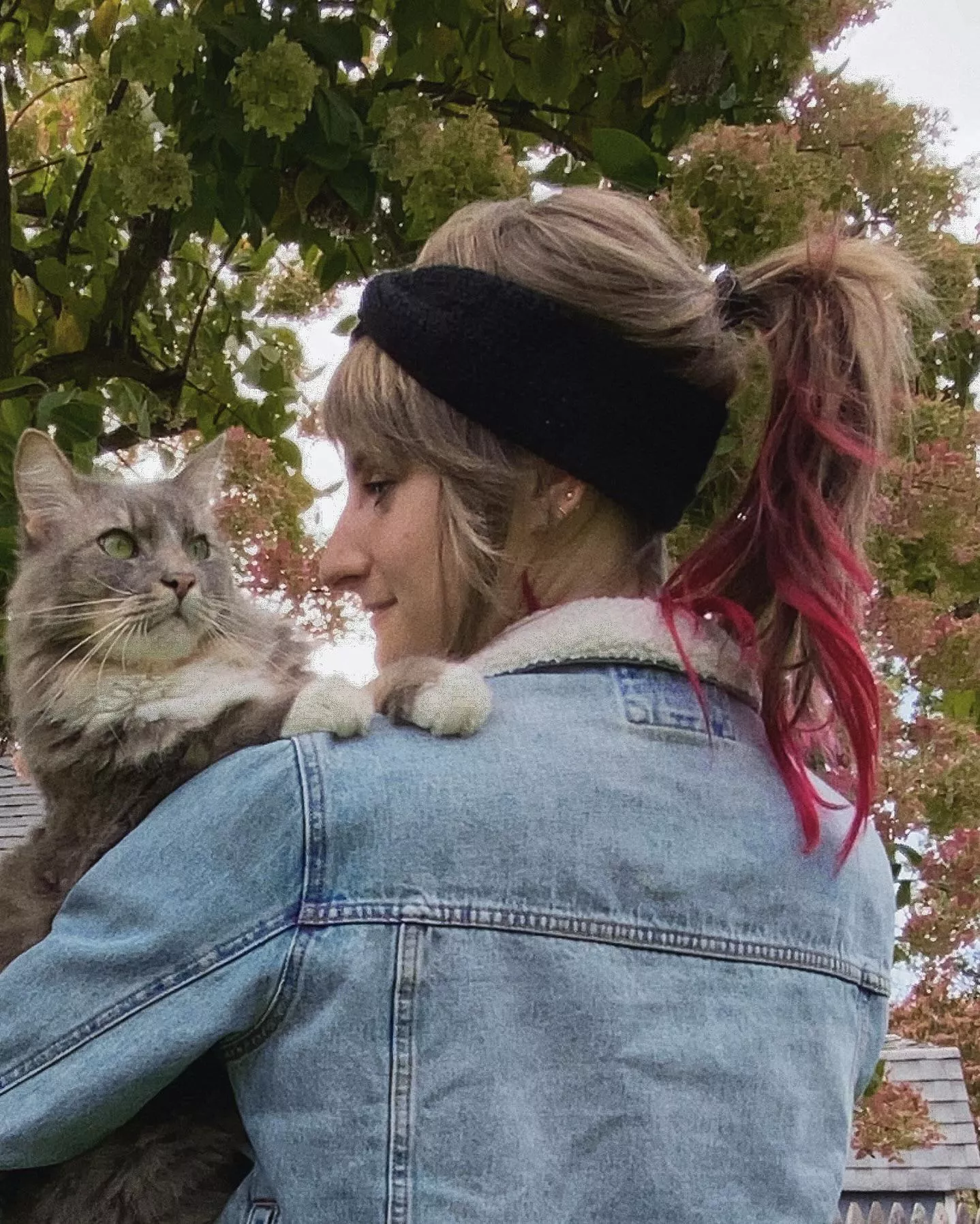 Hopefully you’re cool with cat ladies posted by stoneyghostkitten