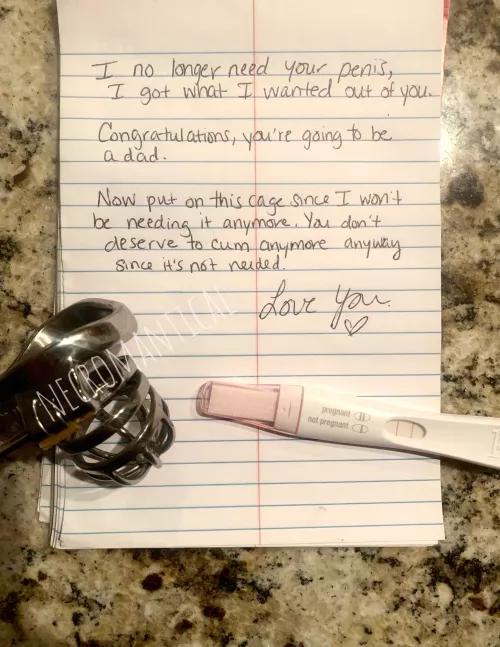 How’s this for a pregnancy announcement? by Even-Education8408