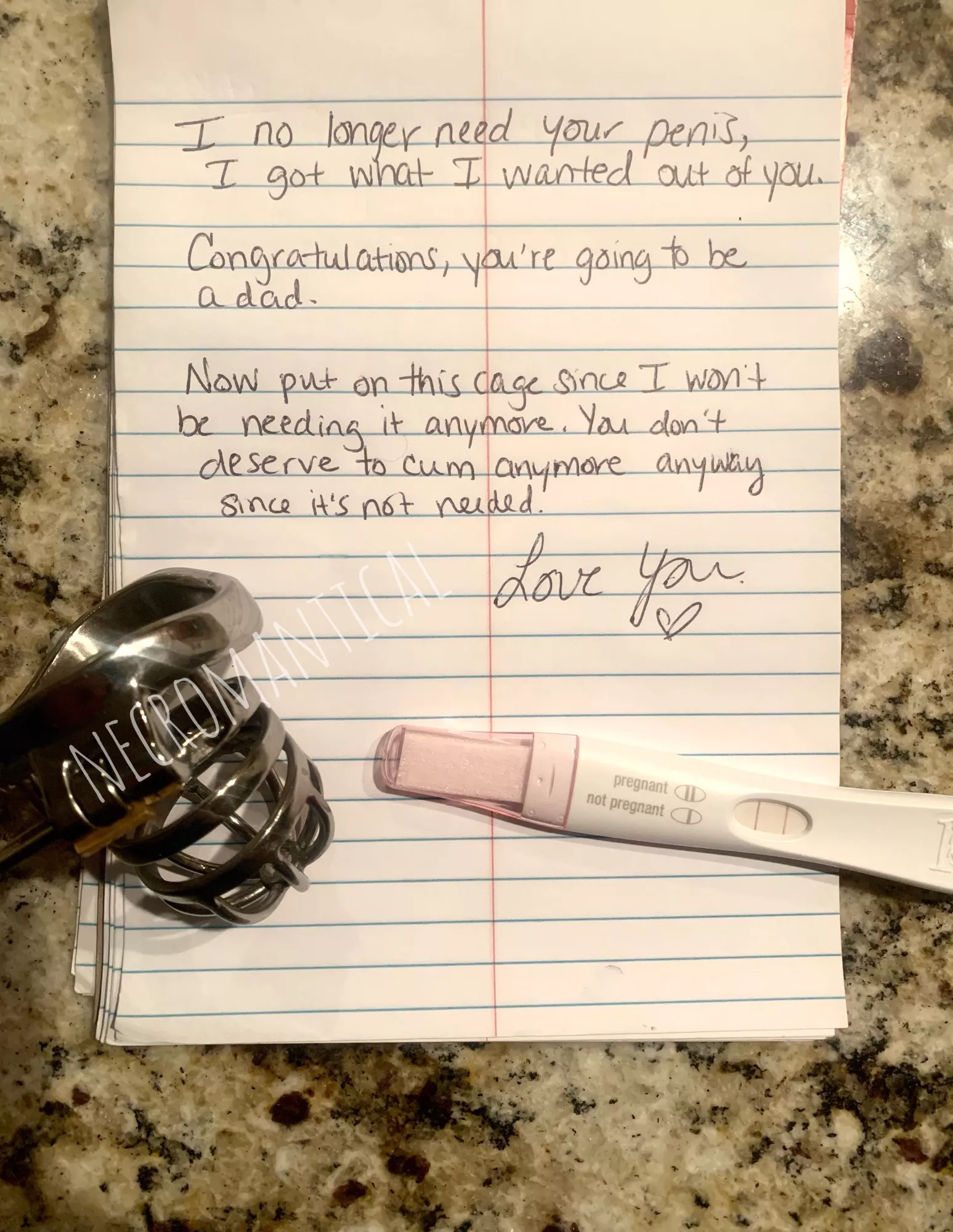 How’s this for a pregnancy announcement? posted by Even-Education8408