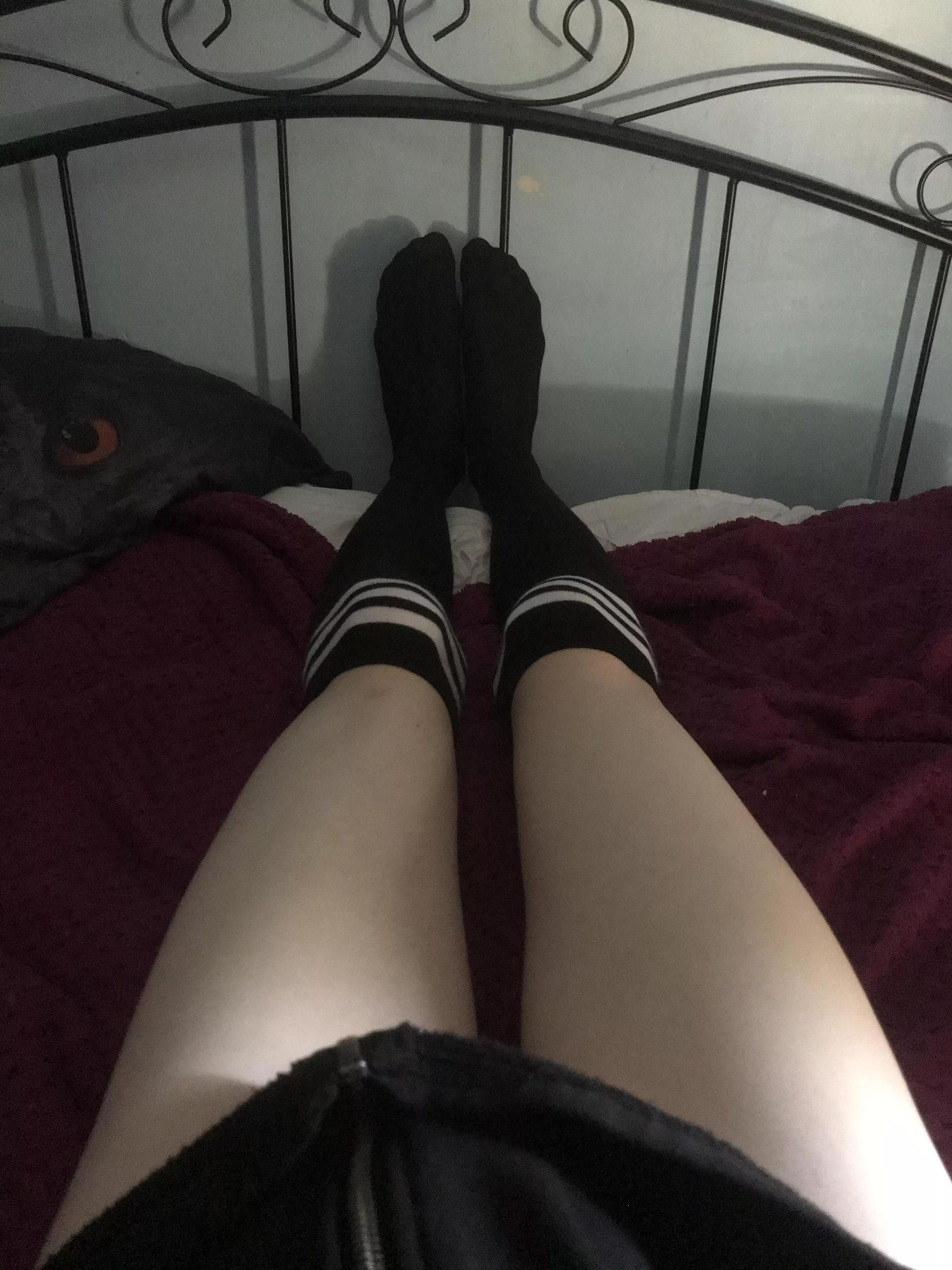 I got my first pair of socks today👉👈 posted by Twinky_Lukey