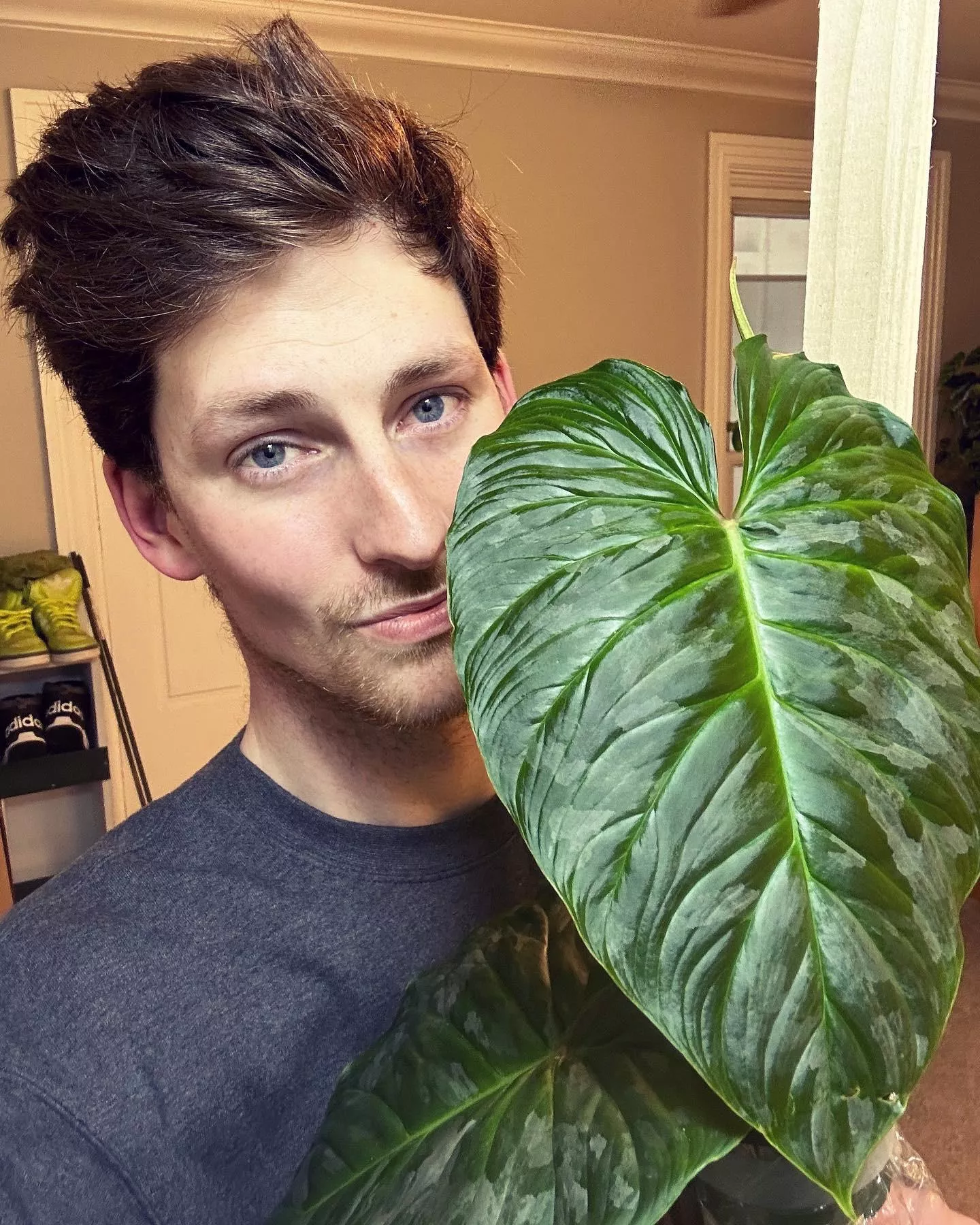 I only take selfies with plants these days 😅 posted by Plantpapa33