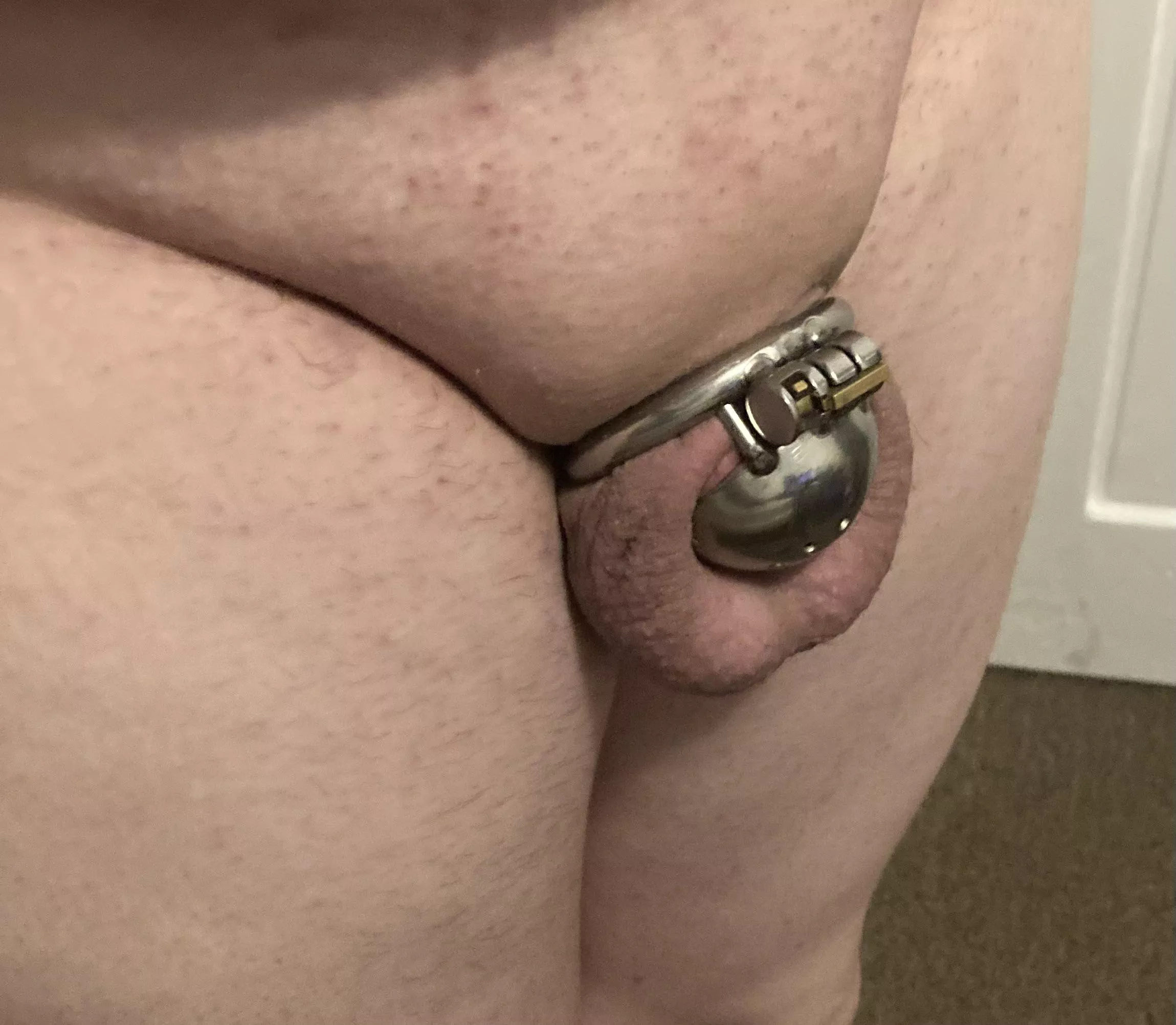 In desperate need of someone to keep my sissy clitty locked posted by SissyBecky21MA