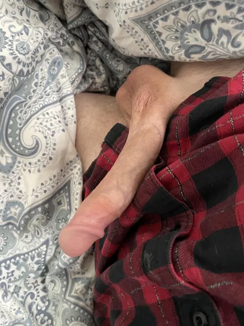 Looks like we won’t be getting out of bed just yet by NyQuiL_jr