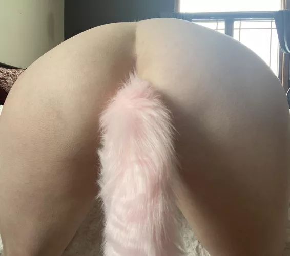 Love my tail I need more by SwedishMilf401