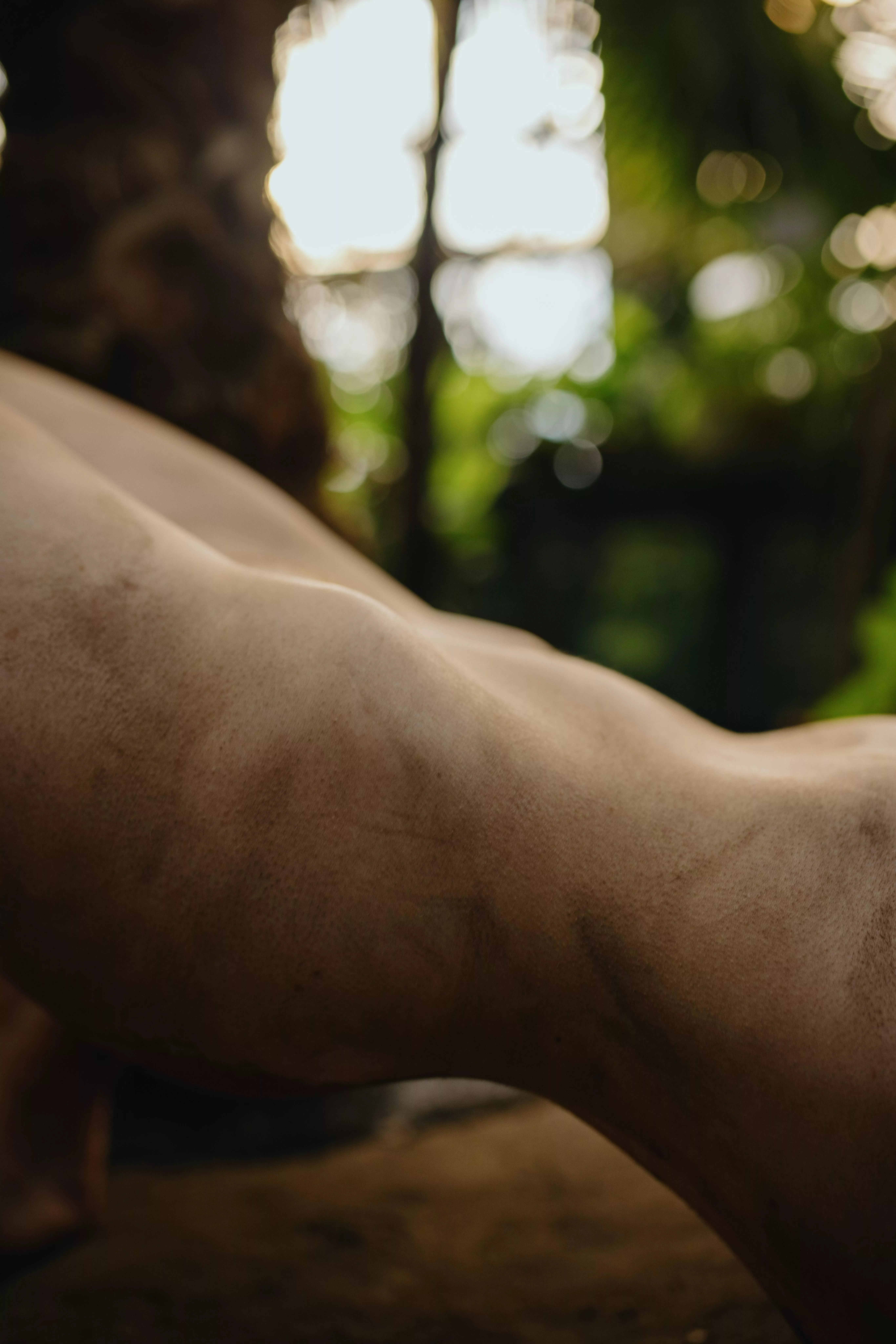 Me in the dust by Anastasia Mihaylova posted by sasha_rachok