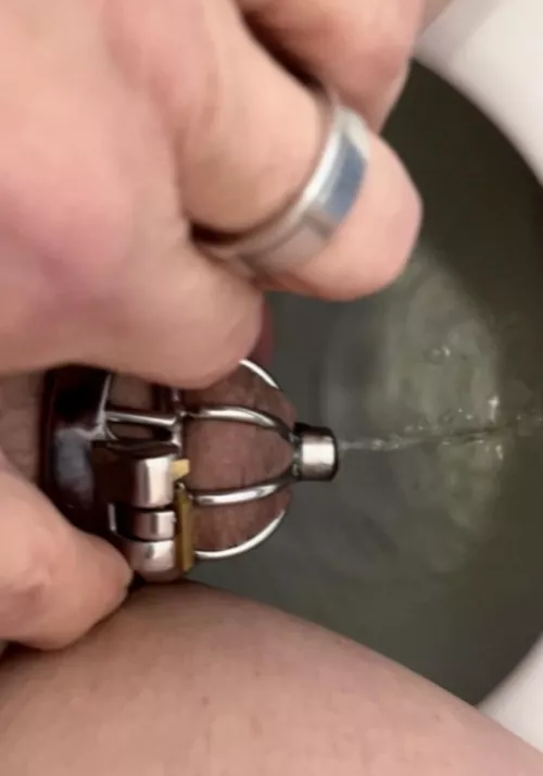 Mmm… peeing in my cage… by BicntJos-Indy