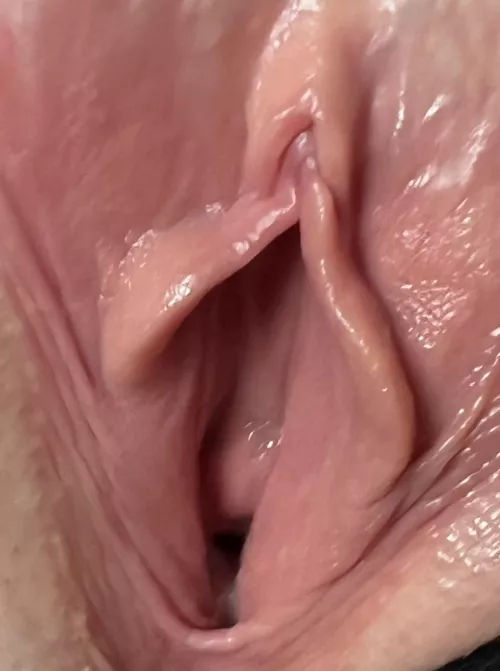 My favourite pic of my pussy I’ve ever taken!😏 by Naomi25Noah