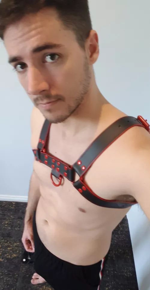 Probably a little vanilla but got my first harness! by Possible-Ad-6813