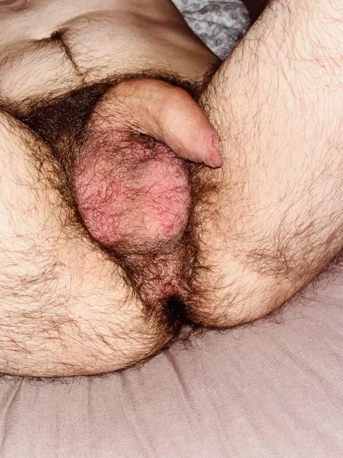 Probably too hairy for you to handle by No_Resort_3355