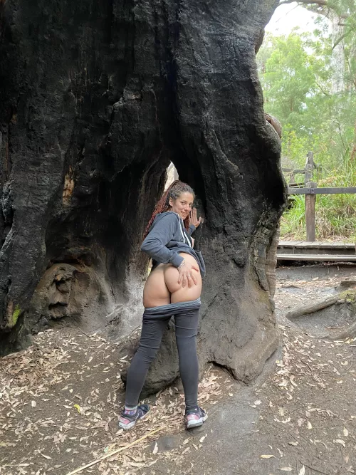 Showing off during a hike❤️ by Bella-Fiore